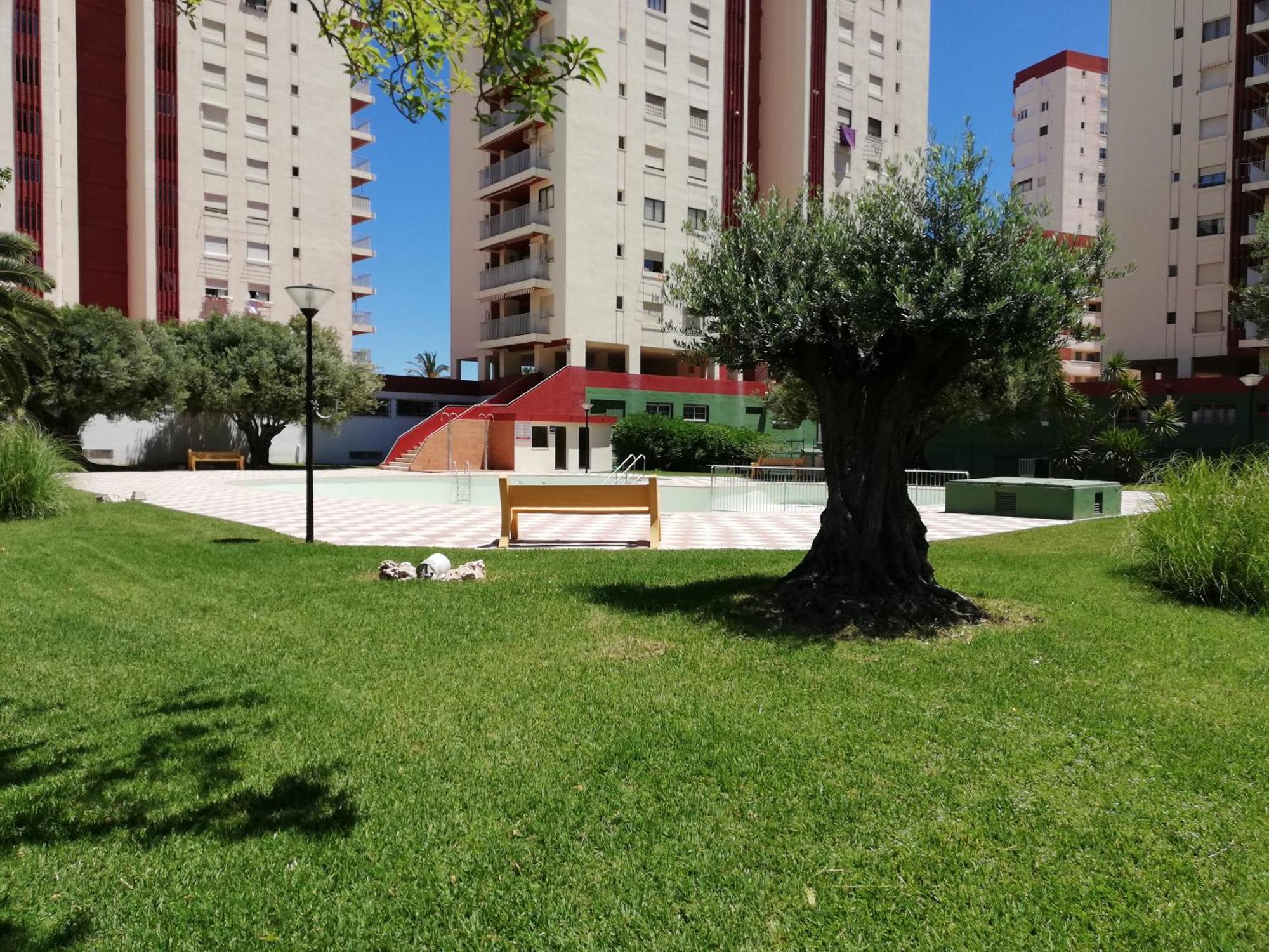 Danio Solo Familia Serviplaya Apartment Playa de Gandia Bagian luar foto